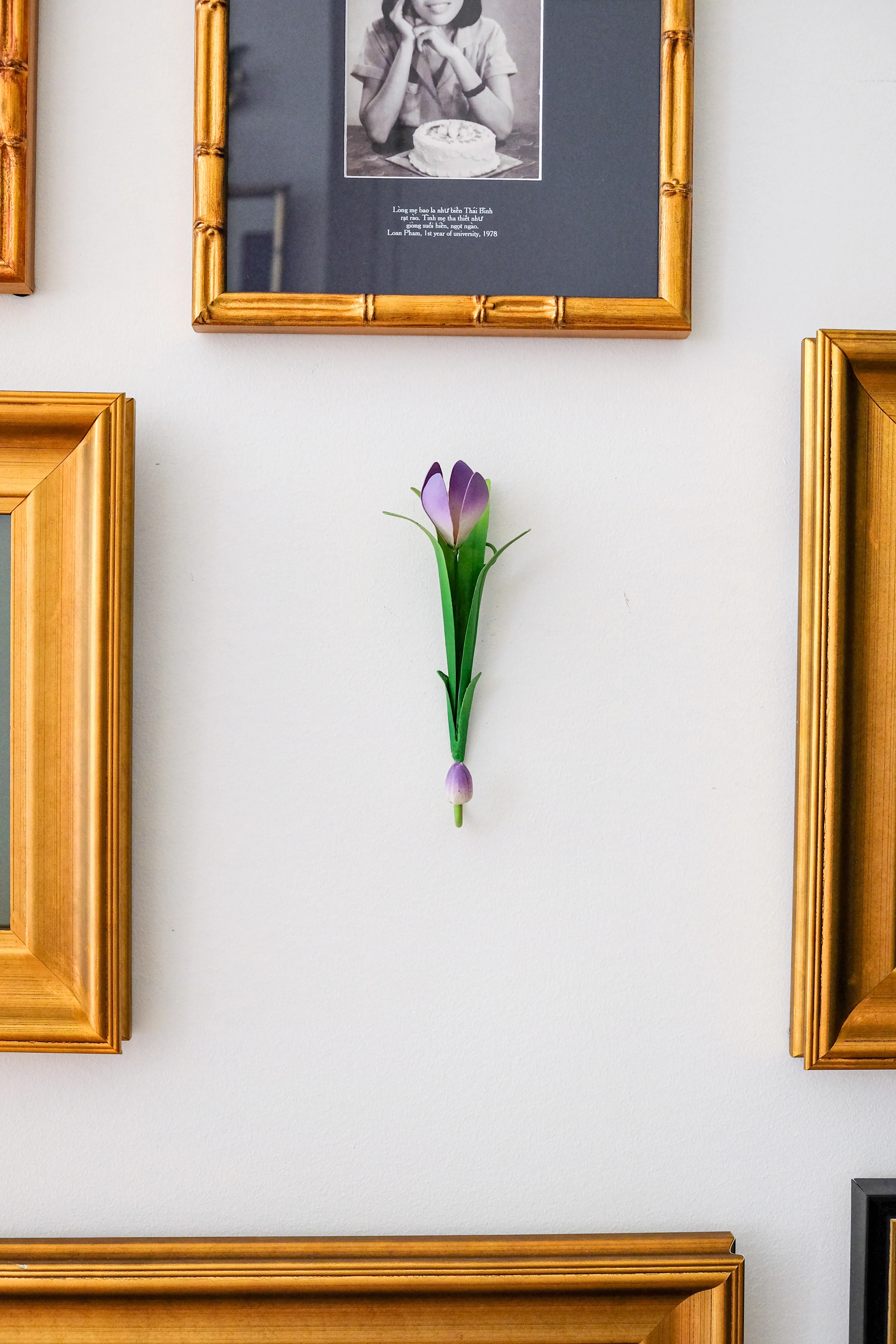 Crocus Wall Hook - Image 3