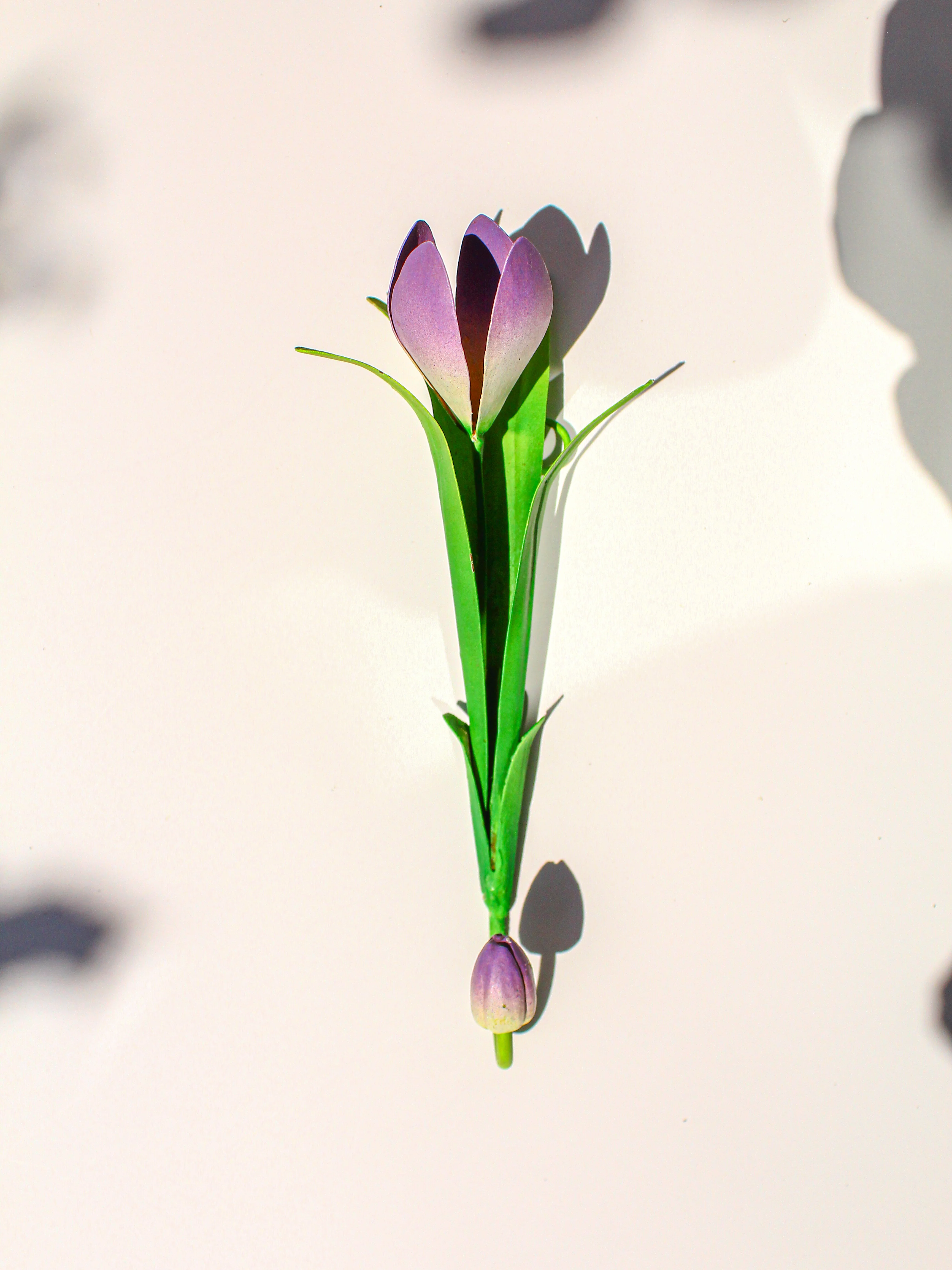 Crocus Wall Hook - Image 4