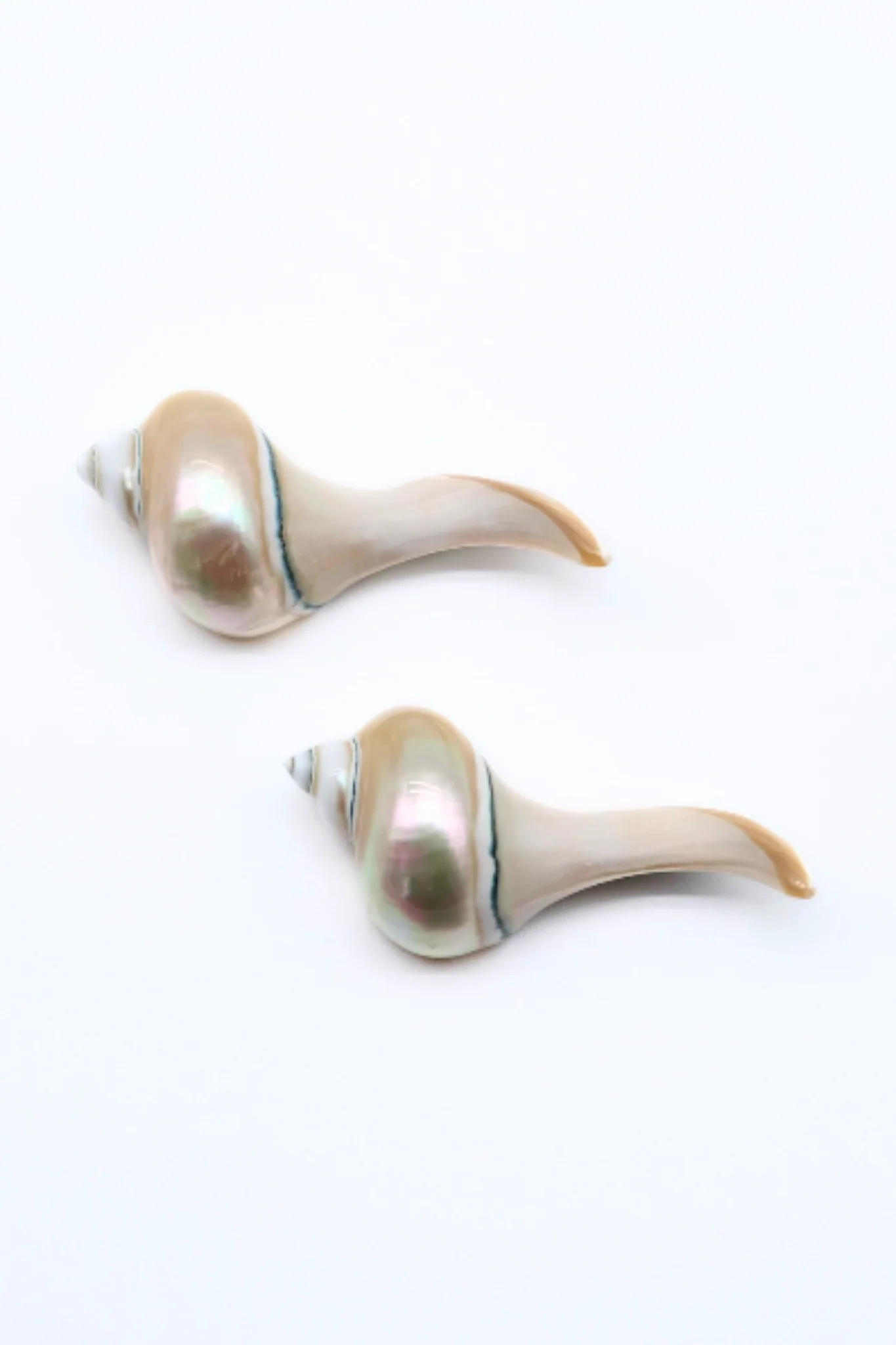 Seashell Chopstick Rest (Pair of 2) - Image 3