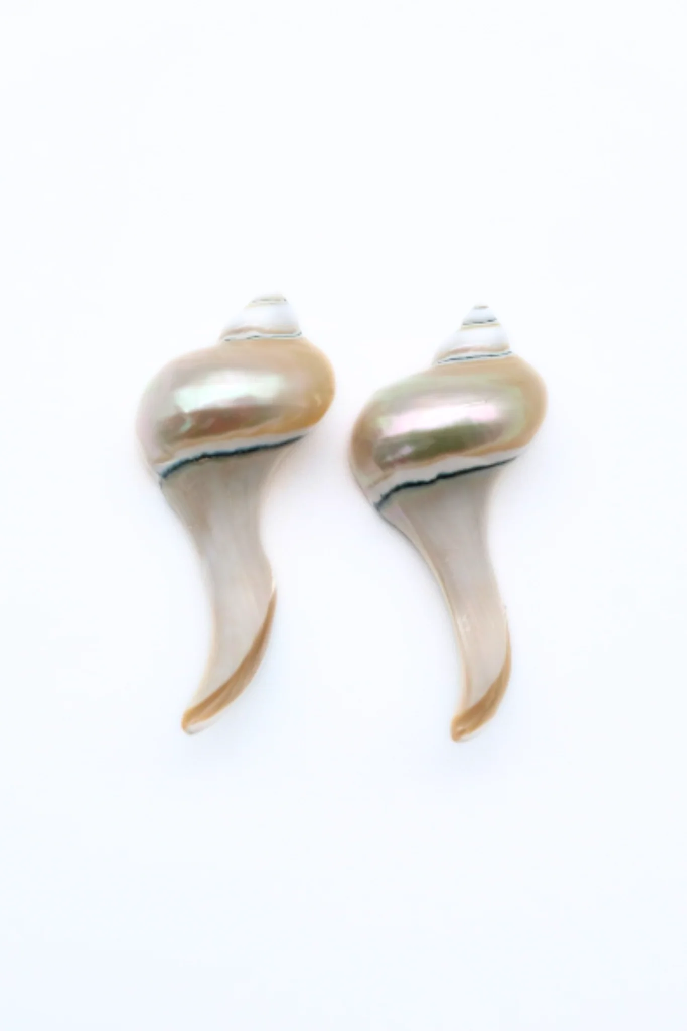 Seashell Chopstick Rest (Pair of 2) - Image 4