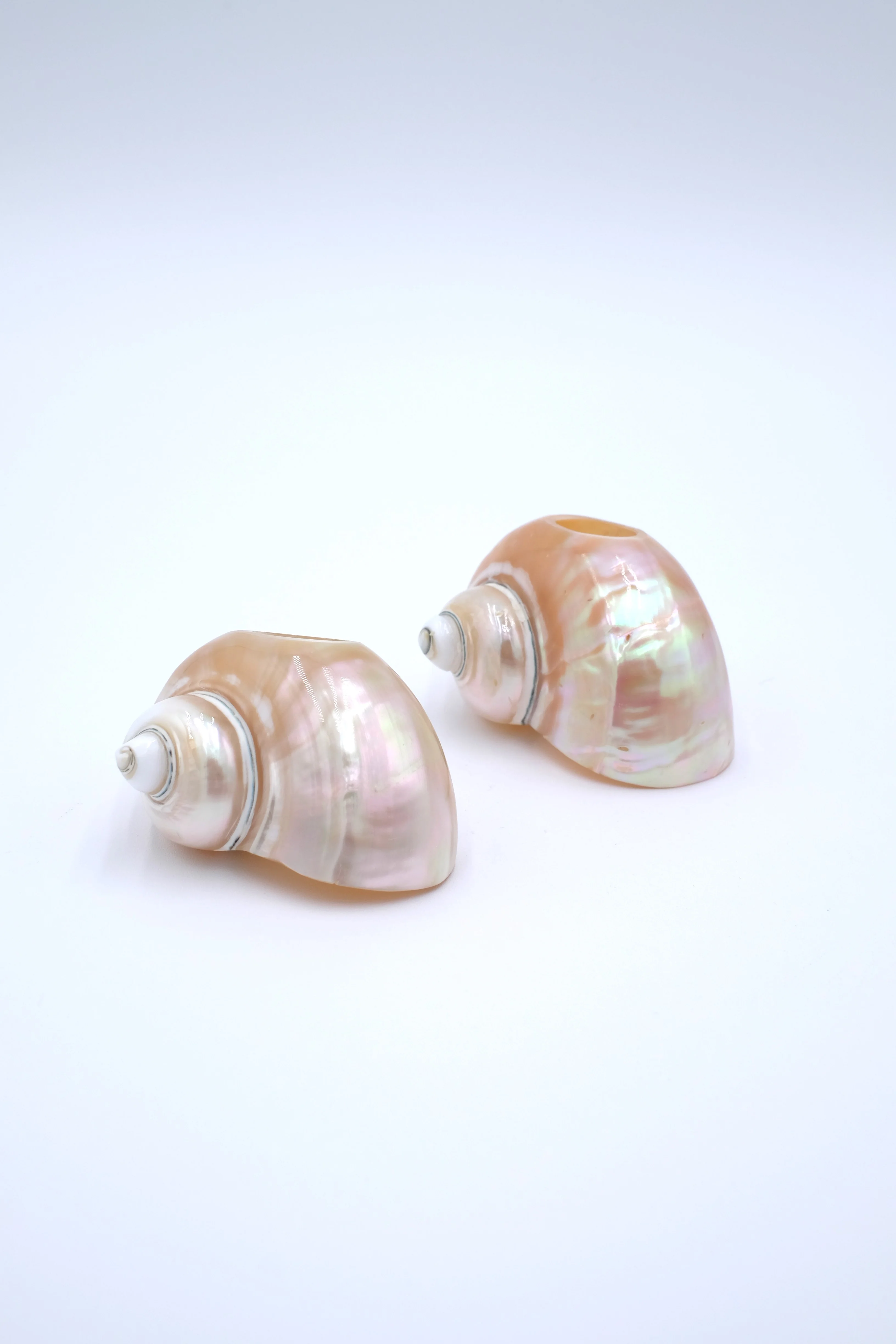 Seashell Napkin Rings, Set of 4 - Image 6