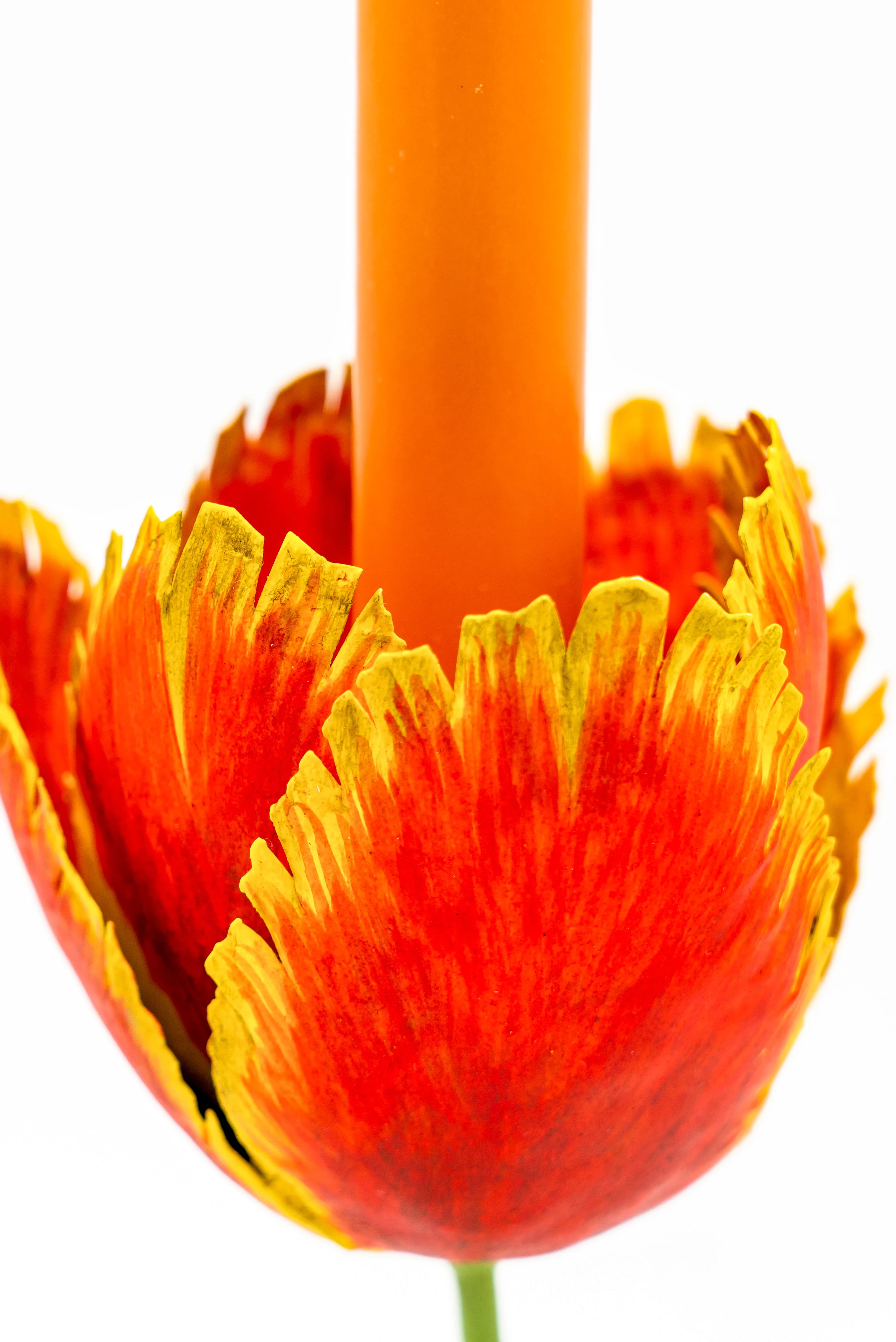 Tulip Candleholders - Medium 10" - Image 6